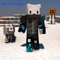 renixinside