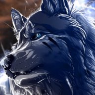 WOLFJAN